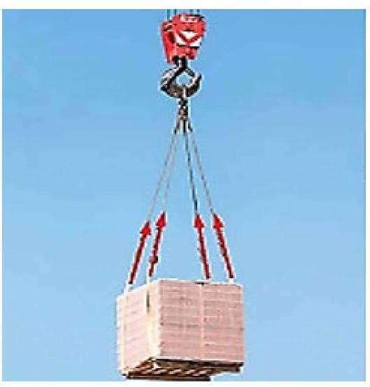 Hình minh họa câu hỏi